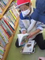 図書館 図書館