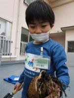 じゃがいもとったよ じゃがいもとったよ