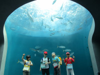 四国水族館での様子