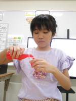 色水実験