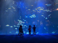 20251120_233624579_iOS