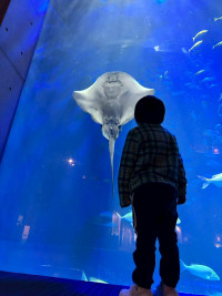 20251120_071933102_iOS